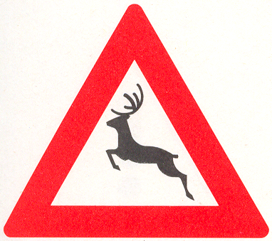 Let op: Groot wild Let op: Groot wild